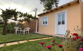 Vasiliki Little House